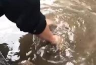 暴雨造成路段積水 銅陵民警徒手掏下水道獲贊