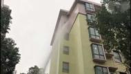 馬蜂窩擾民  無為消防及時處置 