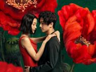 合肥籍演員陳曉聯手杜鵑上演《如影隨心》