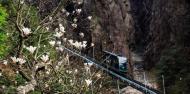 黃山西海“小火車”開起來了?。玻叭掌穑徎ǚ彘_放，天都峰封閉