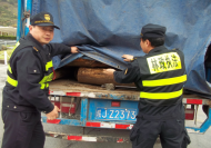 松才線蟲病疫區來的木材在這里被查獲 縣長現場督查