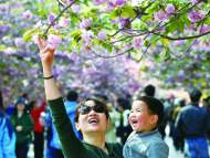 花正好  人流連