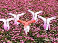 亳州芍花養(yǎng)生文化旅游節(jié)將拉開序幕