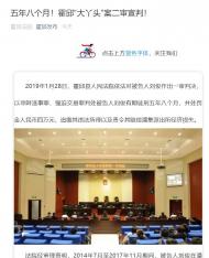 霍邱“大丫頭”案二審宣判，被告被判五年八個月 
