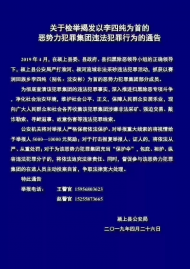 检举揭发这2个阜阳恶势力犯罪团伙 最高奖励1万元