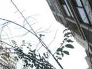 合肥房價“漲聲”響起來 樓市真回暖還是假繁榮？