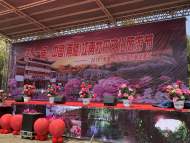 第11屆中國（南陵）江南牡丹文化旅游節６日開幕