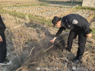 稻田內(nèi)架設(shè)捕鳥網(wǎng) 六安民警立即拆除