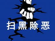 阜阳：立案涉黑涉恶涉乱腐败及“保护伞”问题75件 