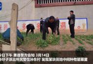 【大皖視頻】蕭縣、淮南地區發現非法種植罌粟苗 民警重拳出擊依法查處