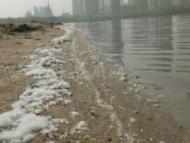 合肥天鵝湖沙灘邊出現數百米白色泡沫帶 