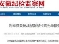 利辛县委统战部副部长高光华接受审查调查
