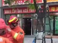 馬蜂醫院旁筑窩蟄傷多人 消防員將其清除