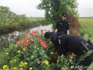 遮陽網下藏著140株罌粟 郎溪民警及時鏟除