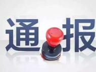 临泉县农业农村局主任科员、县牛羊协会负责人葛飞接受审查调查