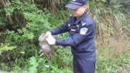 二級保護動物飛進店里，寧國民警救助放歸自然