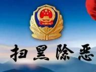 砀山打掉涉恶类犯罪团伙7个  抓捕犯罪嫌疑人154人