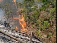 祁門一村民燒自家茶棵梗走火 撲火時意外死亡