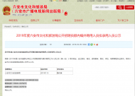 六安文化和旅游局員額內編外聘用人員擬錄用人員公示