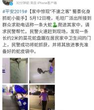 六安：居民家中驚現(xiàn)菜花蛇，派出所民警手到擒拿