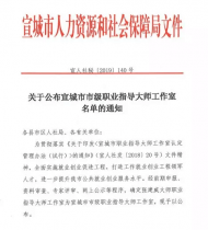 宣城市首個(gè)市級(jí)職業(yè)指導(dǎo)大師工作室成立