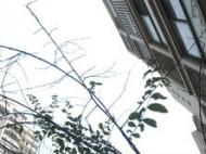 合肥二手房交易新規：過戶前銀行須預審買方按揭貸款資格