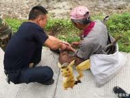 老人挖竹筍被捕獸套夾住 績溪民警成功解救
