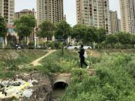 蚌埠：19個入水口，11個“弄臟”龍子湖
