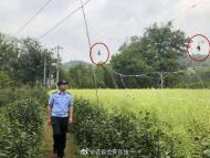田野里設捕鳥網 涇縣民警及時拆除