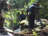 罕见！三只金钱豹同框 现身云南南滚河保护区