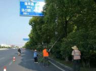 交通標志“躲貓貓” 合肥城管集中治理露“真容”