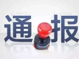 安徽省文物考古研究所原党支部书记胡欣民接受审查调查
