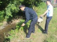 涇縣：男子深夜捕捉石雞 蜀黍“守株待兔”