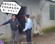 六安：養豬場的黑豬偷跑出來，敢跟警察“捉迷藏” 
