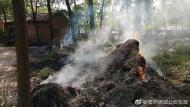 亳州：熊孩子玩火點(diǎn)燃楊絮  瞬間燒仨柴禾垛 