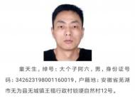 蕪湖警方公開征集以童天生為首的惡勢力團伙違法犯罪線索