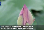 【大皖視頻】安徽肥西荷花節即將開幕 百里“荷香廊道”美翻了