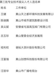 黃山市第三批專業(yè)技術(shù)拔尖人才評(píng)選結(jié)果出爐