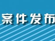 休寧查“紅纓槍案”涉公職人員保護傘 立案2件開除黨籍1人