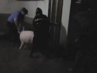 三只豬被困水中 郎溪民警與群眾雨中合力解救