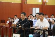 徐九林受賄、串通投標及余燦文串通投標案一審在岳西開庭