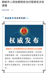 桐城市人民檢察院依法對程銀安決定逮捕