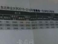 東北林業大學今年計劃在皖招生168人