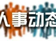 淮北市市场监督管理局三名副局长被免职