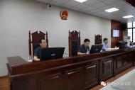 舒城縣一涉惡勢力犯罪案件公開審理