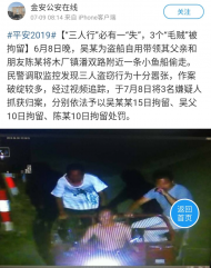 六安三個“毛賊”偷盜小船被拘留