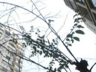 合肥7月土拍平淡落幕 6宗地攬金58億