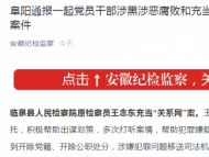 充当黑恶势力“关系网” 临泉县原检察员王念东被“双开”