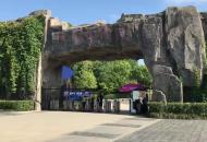 合肥野生動物園花式避暑 “越獄” 猩猩享空調房、松鼠猴冰塊降溫