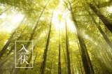 畢俠：母親的黃豆醬